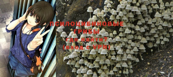 MDMA Кукмор